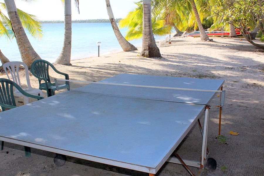 Ping-Pong dans la pension