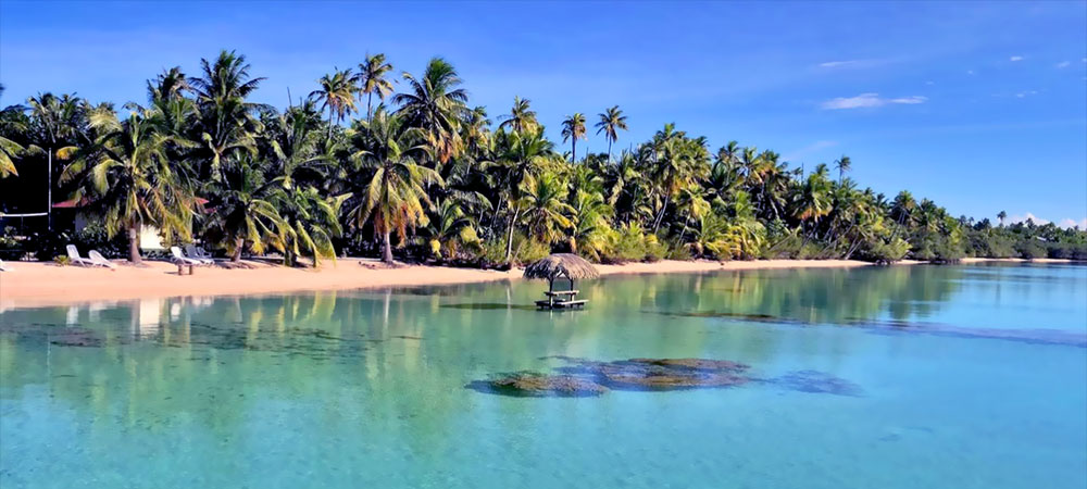 Plage des Tuamotu